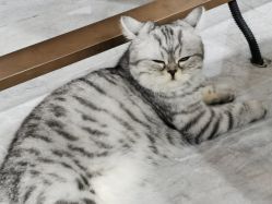-镁连社·美联社