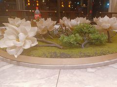 -陶缘一号·四季缘·老字号顺德菜·户外婚礼家宴(西滘店)