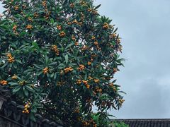 -前童古镇