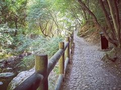 -少华山国家森林公园