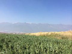 -苍山感通索道