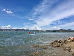 -盐洲岛