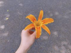 -黄公望隐居地
