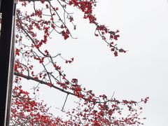 -广州中山纪念堂