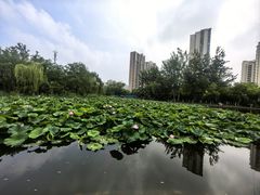 -南翠屏公园