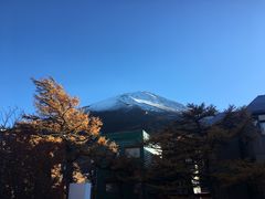 -大国药妆(NEW心斎橋店)