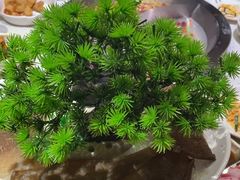 -大龙燚火锅