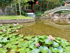 -深圳国际园林花卉博览园