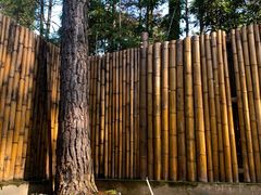 -竹上云想餐厅民宿