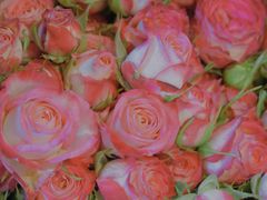 -循礼门鲜花花市(武汉循礼门店)