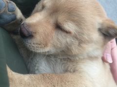 -川里谈·川味小馆(北京路店)