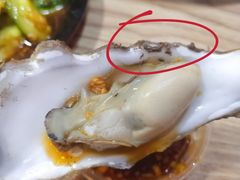 -爱蚝屋