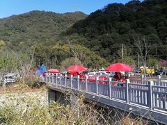 -北仑森林植物园