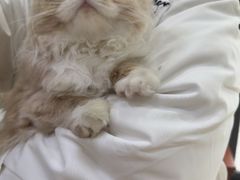 -艾贝尔宠物医院 ·内科全科(梁溪路店)