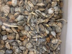 -宾朋海鲜特色美食餐厅·纯手工鲅鱼水饺(兴海路店)