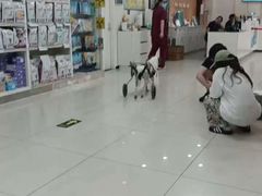 -美联众合动物医院·24h京西诊疗中心