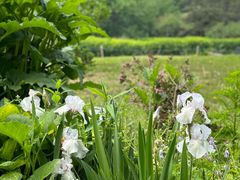 -北京植物园-展览温室