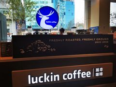 -中国电信(人民路营业厅)