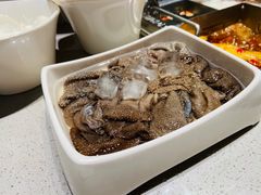 捞派毛肚-海底捞火锅(大融城店)