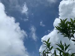 -梅沙尖