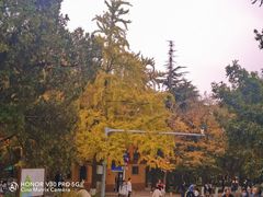 -八大关景区