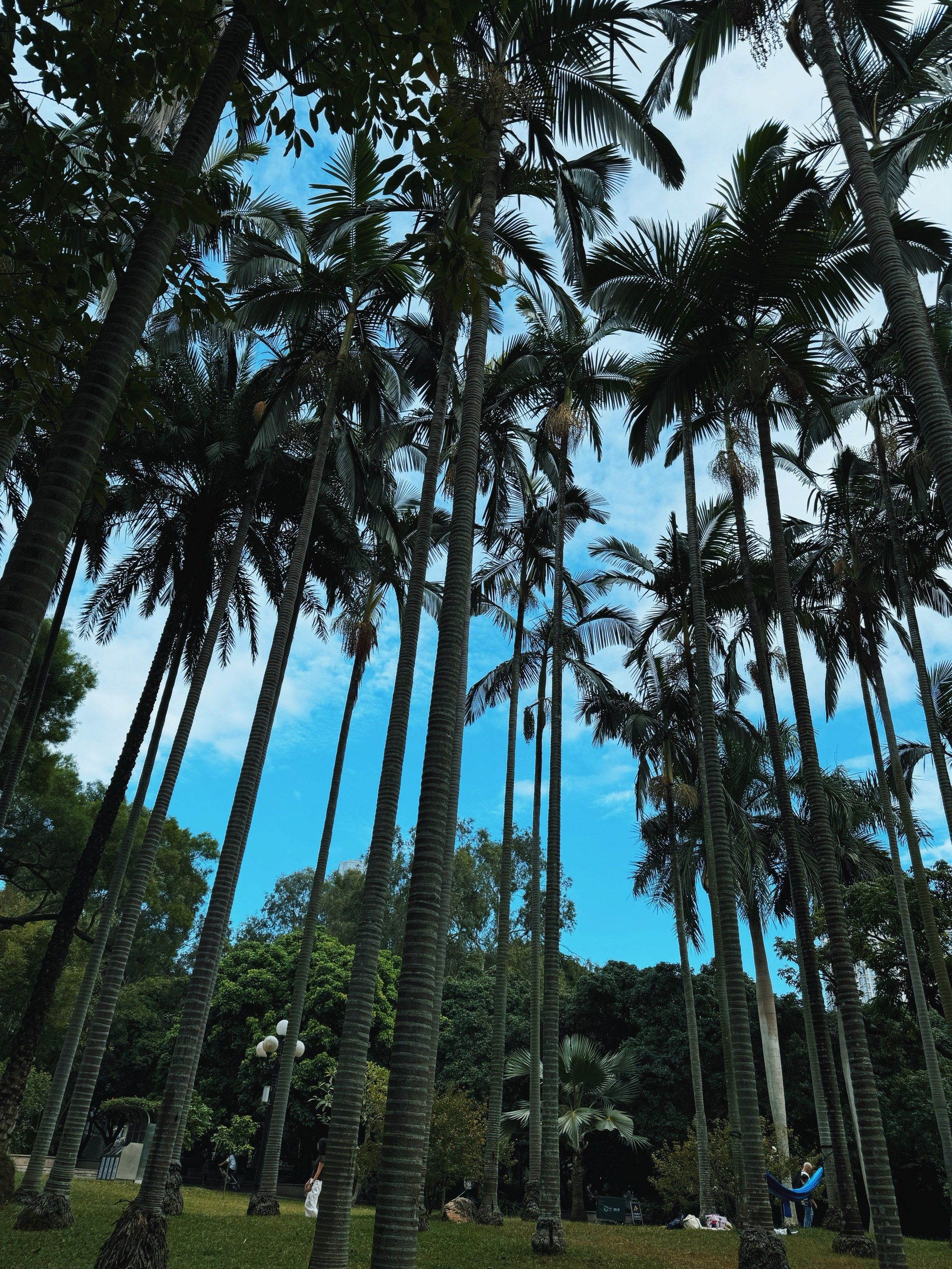 来荔枝公园感受大自然的呼吸