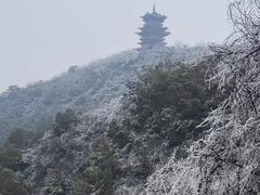 -杭州半山国家森林公园