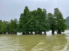 -星湖旅游景区七星岩