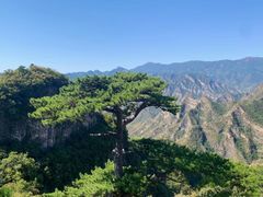 -圣莲山风景区