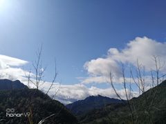 -千岛湖石林