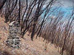 -帽儿山国家森林公园