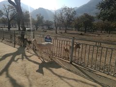 -西安秦岭野生动物园