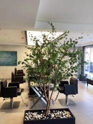 -付军剪艺JF ProSalon