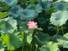 -云龙湖旅游景区