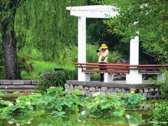 -国家植物园南园