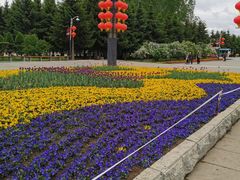 -长春公园(普阳街道)