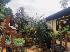 -二荆条·蜀鲜汇城市森林火锅