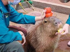 -正佳雨林生态植物园