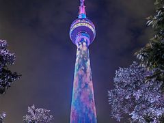 -龟山风景区-龟山电视塔