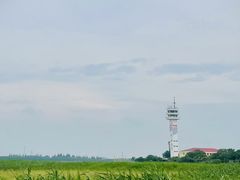 -上海吴淞炮台湾国家湿地公园