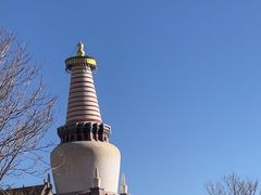 -张掖大佛寺景区