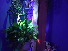 -星宿秘码(鼓浪屿老店)