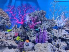 -成都浩海立方海洋公园