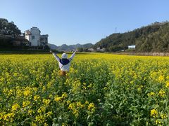 -新安江山水画廊风景区