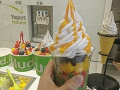 -Salud撒露欧洲冻酸奶(蓝色港湾店)