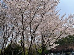 -苏州独墅湖世尊酒店