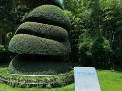 -苏州河梦清园环保主题公园