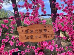 -北京凤凰岭