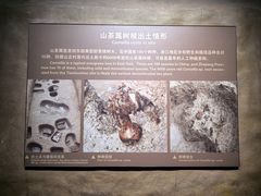 -河姆渡遗址博物馆