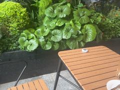 -上海锦江汤臣洲际大酒店